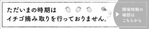 ただいまの時期はイチゴの摘み取りを行っておりません