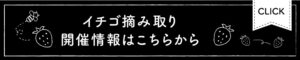 イチゴの摘み取り開催情報はこちらから