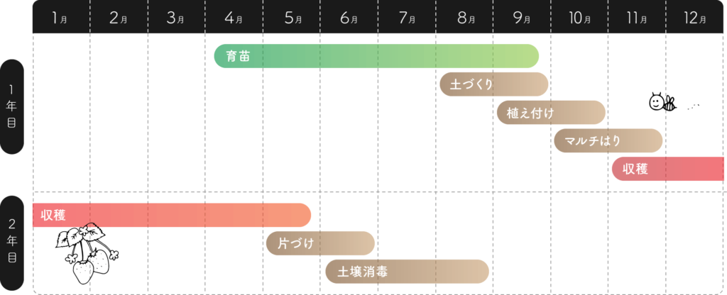 いちごの栽培の流れカレンダー